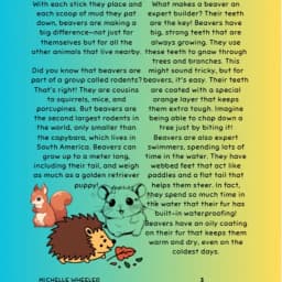 Beavers 4.jpg