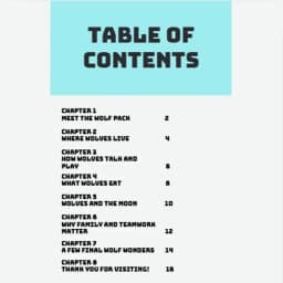 Wolf Wonders 2.jpg